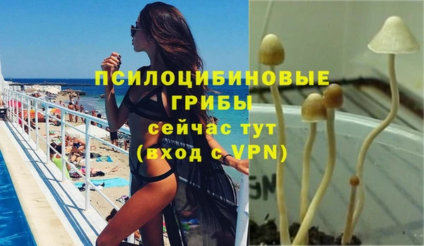 каннабис Заводоуковск
