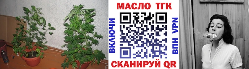 ТГК Wax Купить Каргополь