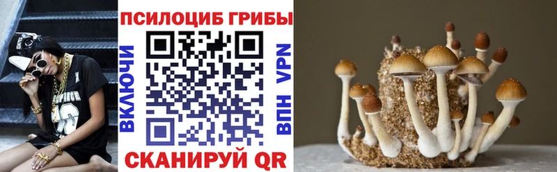 Купить закладки  Каргополь  Галлюциногенные грибы прущие грибы 